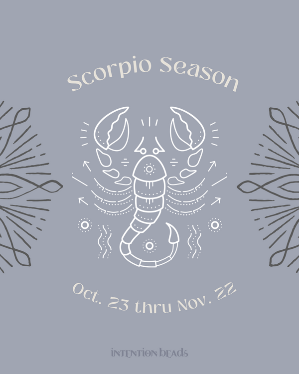 Get ready to dig deep- It's Scorpio Season!